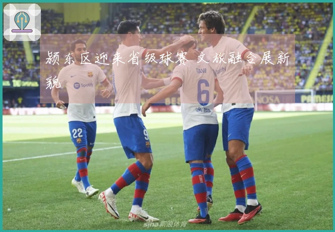 颍东区迎来省级球赛 文旅融合展新貌