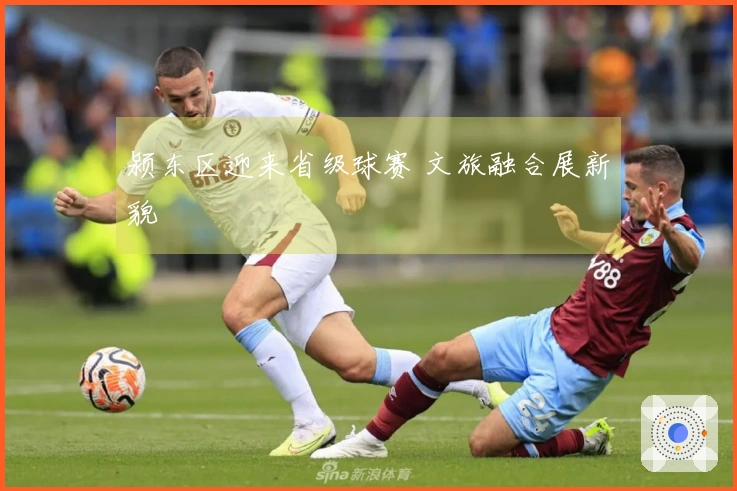 颍东区迎来省级球赛 文旅融合展新貌